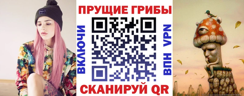 ОМГ ОМГ маркетплейс  Александровское  Галлюциногенные грибы Cubensis 